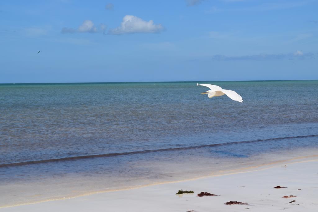 Villas Delfines Isla Holbox Exteriér fotografie