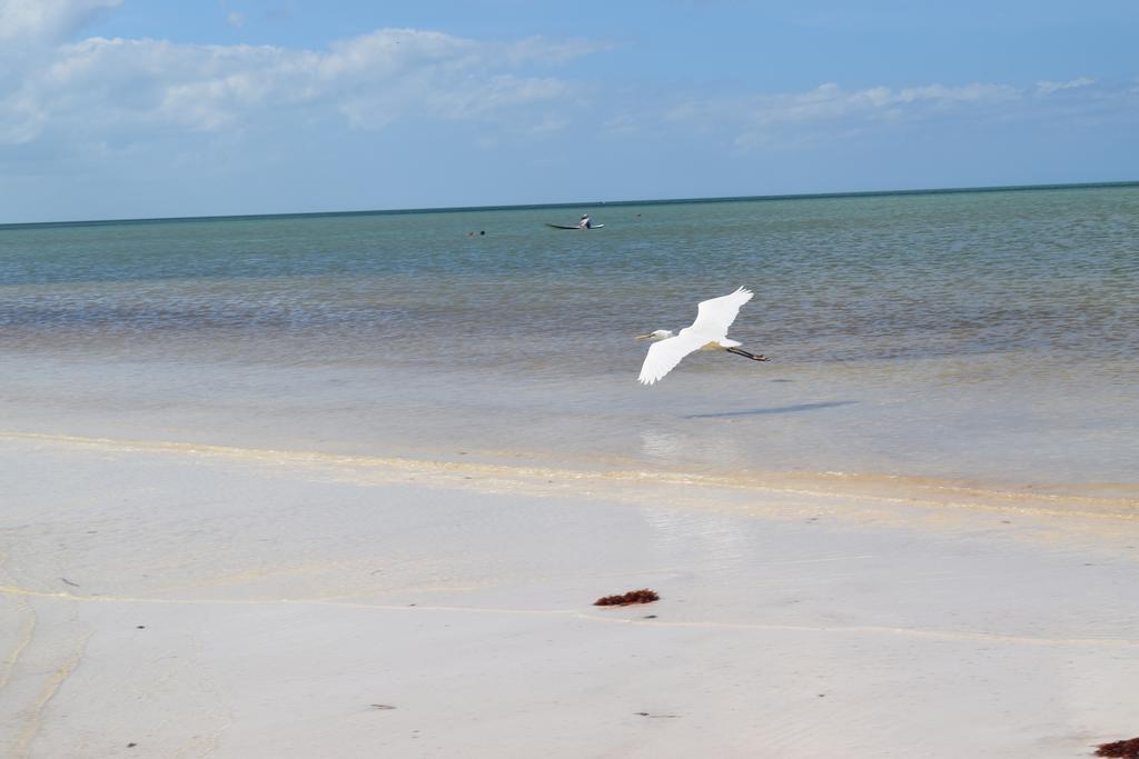 Villas Delfines Isla Holbox Exteriér fotografie